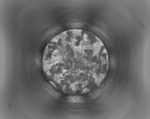 X0000111450181200908241214