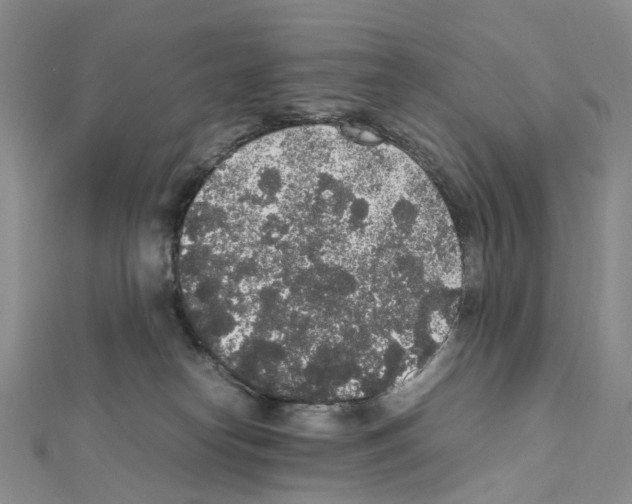 X0000111450182200908241214