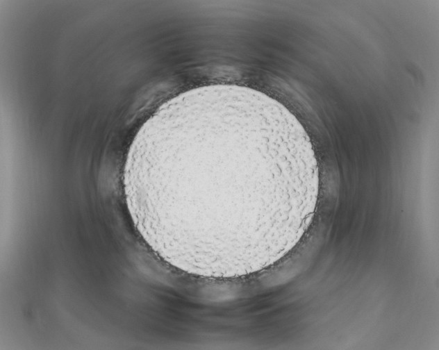 X0000111450185200908241214