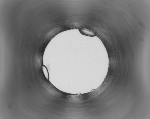 X0000111450188200908241214