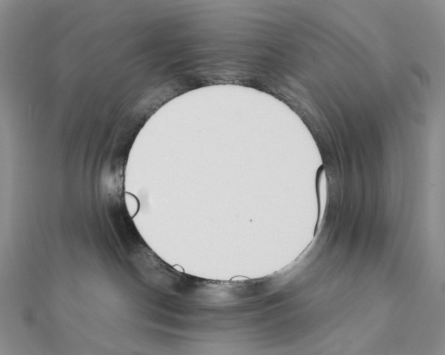 X0000111450190200908241214