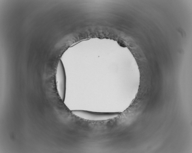 X0000111450192200908241214