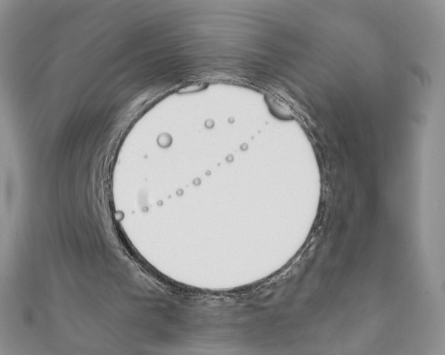 X0000111450193200908241213