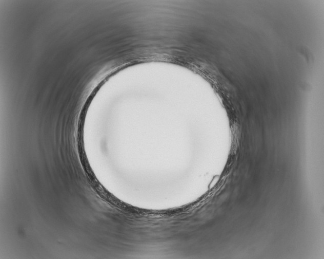 X0000111450195200908241213