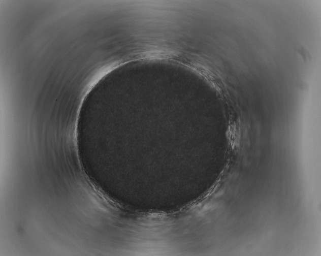 X0000111450196200908241213