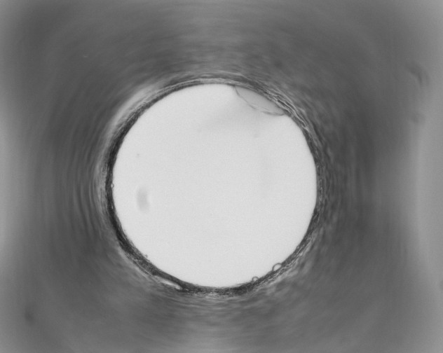 X0000111450197200908241213