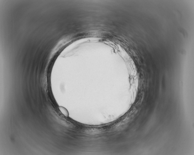 X0000111450198200908241213