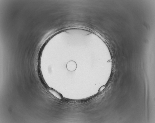 X0000111450199200908241213