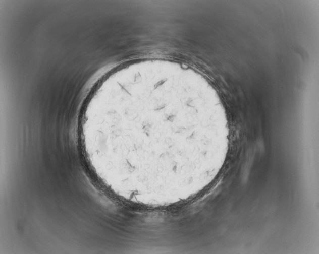 X0000111450200200908241213