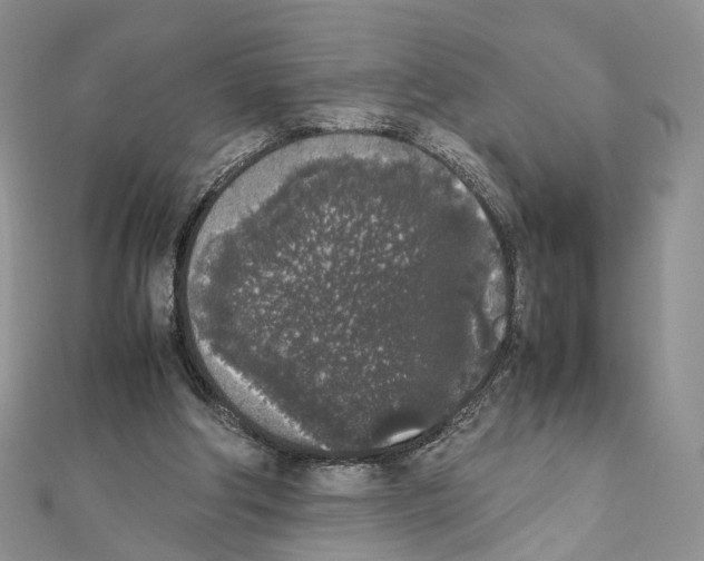 X0000111450202200908241213