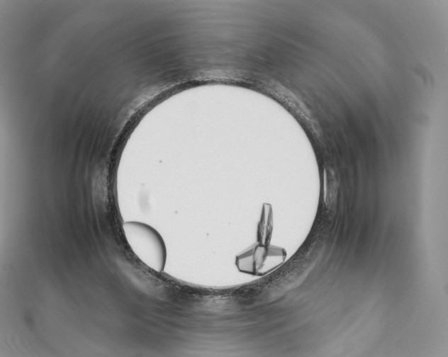 X0000111450204200908241213