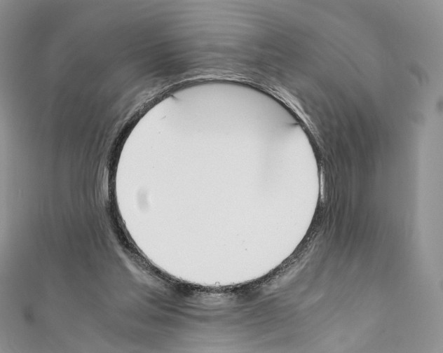 X0000111450205200908241213