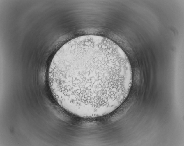 X0000111450206200908241213