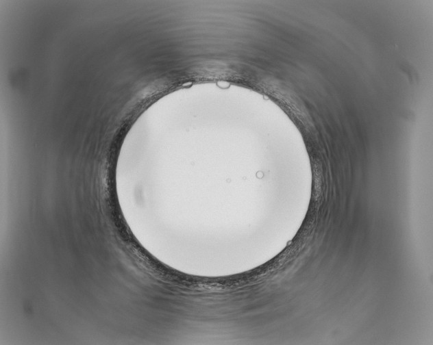 X0000111450207200908241213