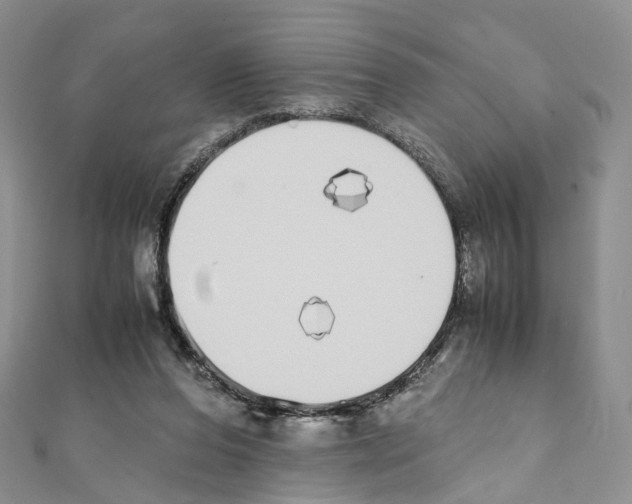 X0000111450208200908241213