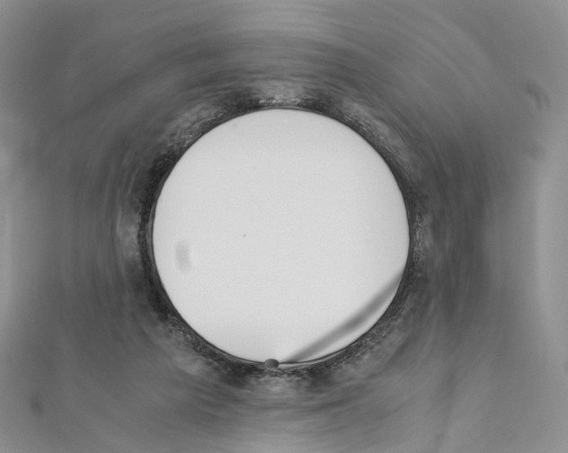 X0000111450209200908241213