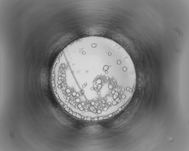 X0000111450210200908241213