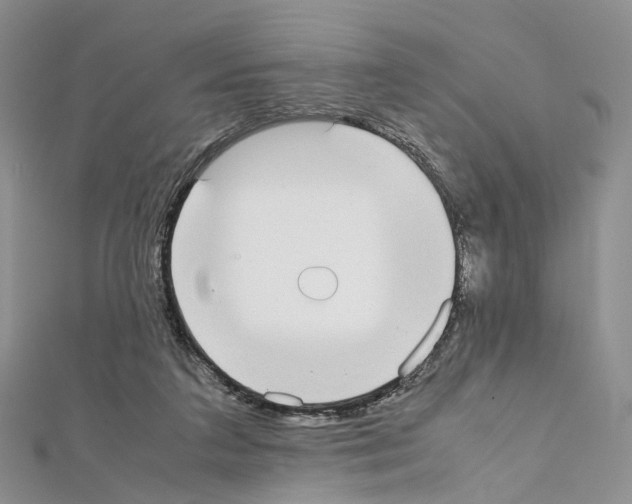 X0000111450211200908241213