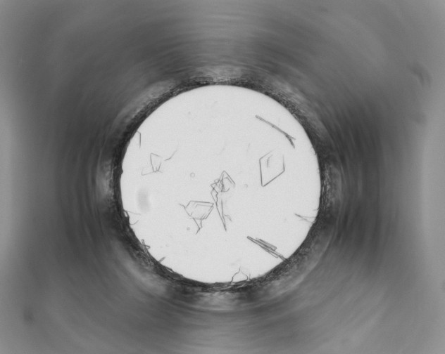 X0000111450212200908241213