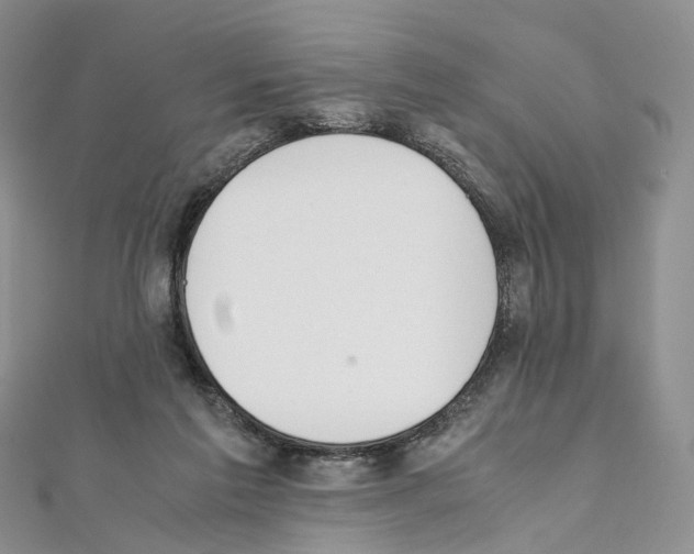 X0000111450213200908241213