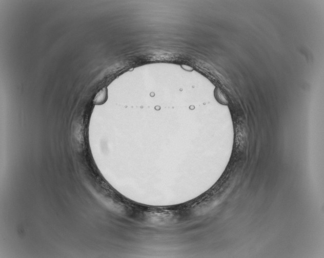 X0000111450215200908241213