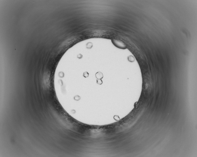X0000111450216200908241213
