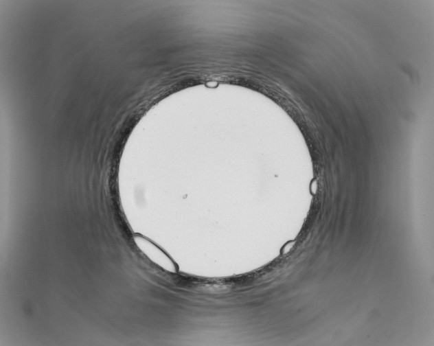 X0000111450217200908241213