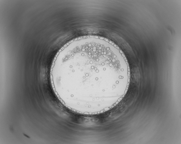 X0000111450218200908241213