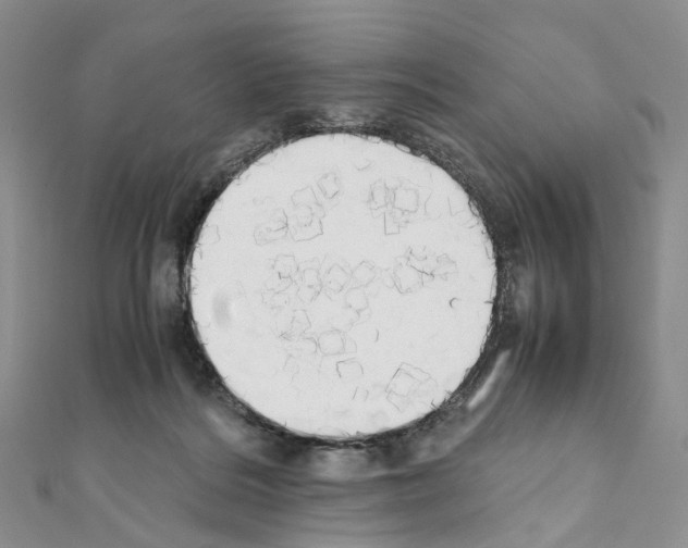 X0000111450220200908241213