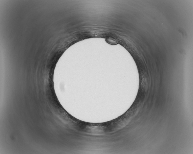 X0000111450221200908241213