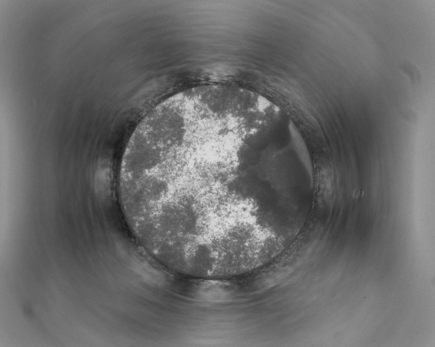 X0000111450222200908241213