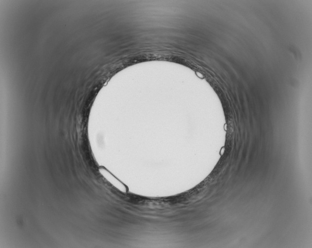 X0000111450223200908241213