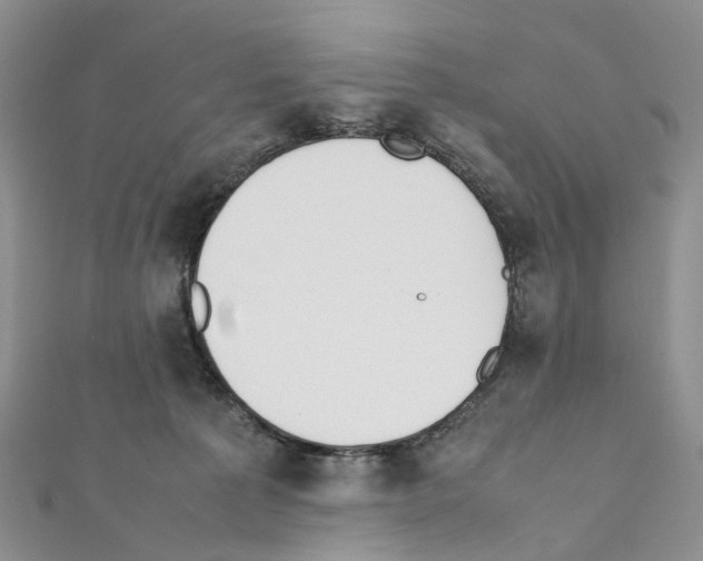 X0000111450225200908241213