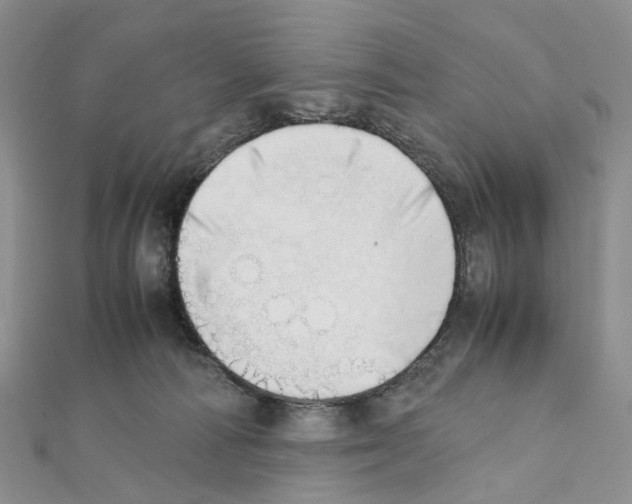 X0000111450226200908241213