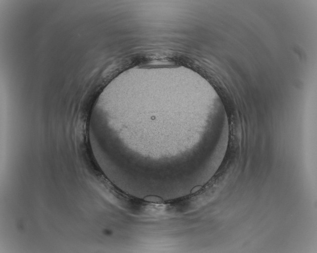 X0000111450227200908241213