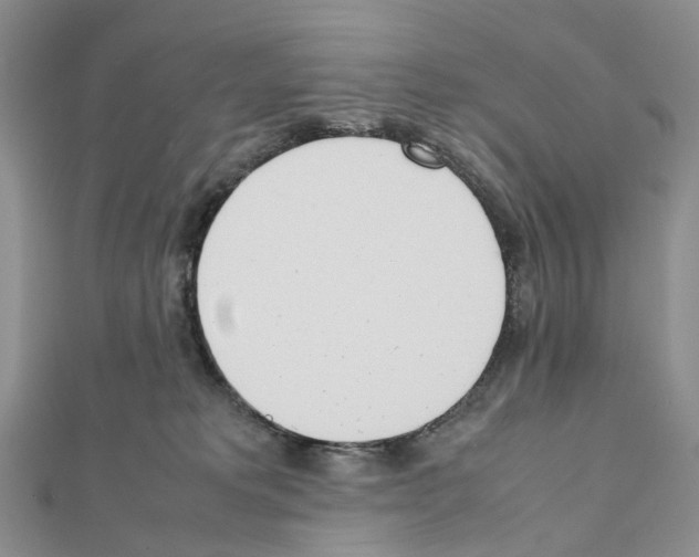 X0000111450229200908241213