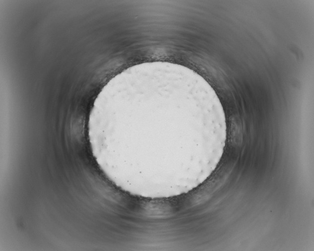 X0000111450230200908241213