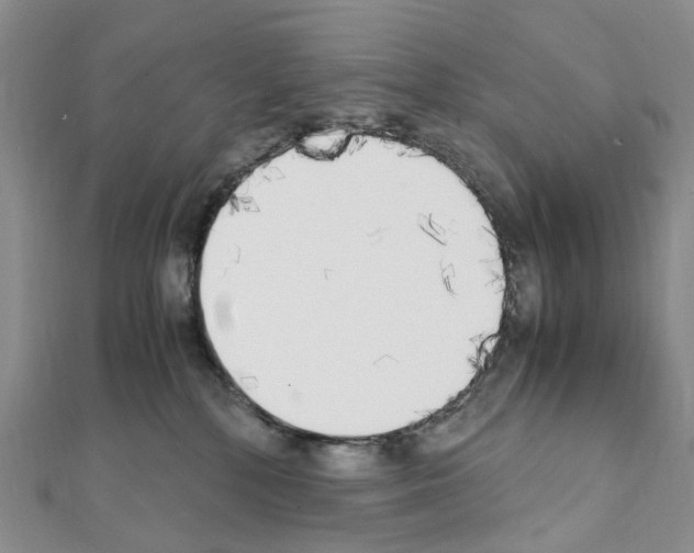 X0000111450232200908241213