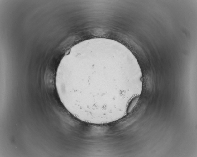 X0000111450234200908241213