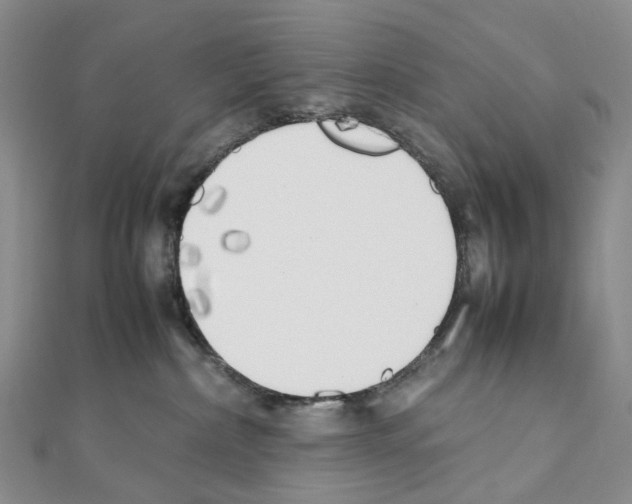 X0000111450236200908241213