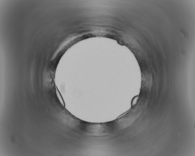 X0000111450237200908241212