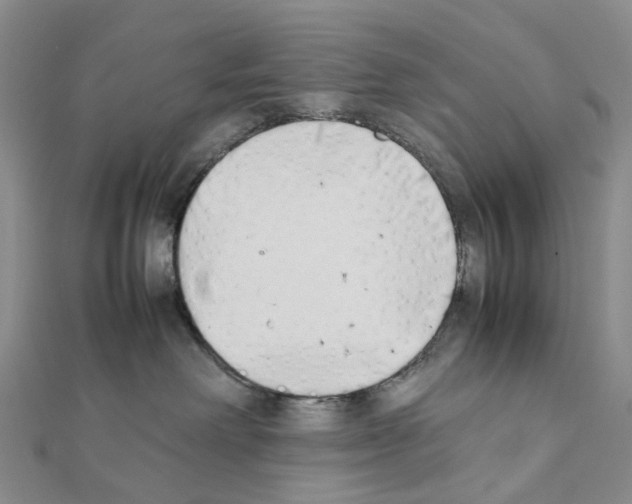 X0000111450238200908241212