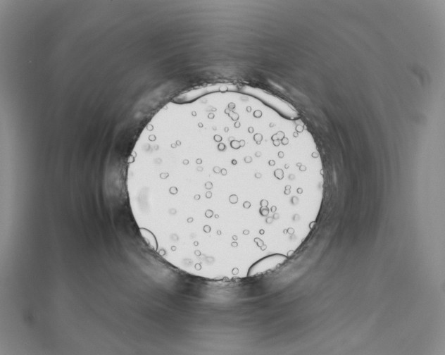 X0000111450240200908241212