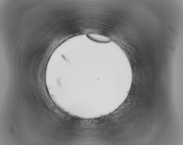X0000111450241200908241212