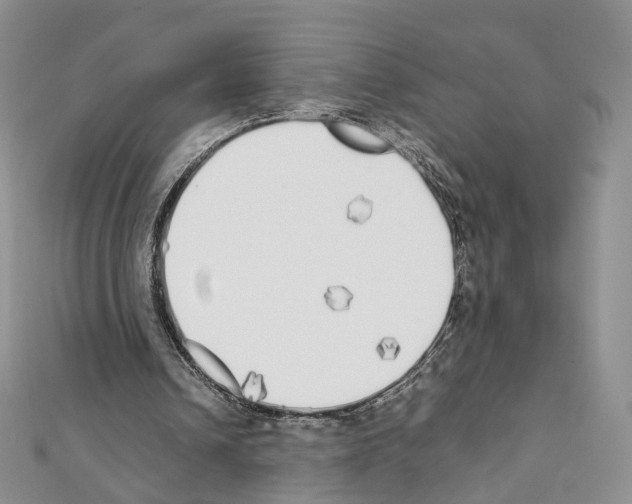 X0000111450242200908241212