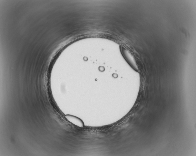 X0000111450244200908241212