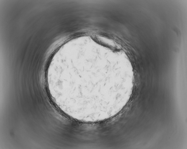 X0000111450245200908241212