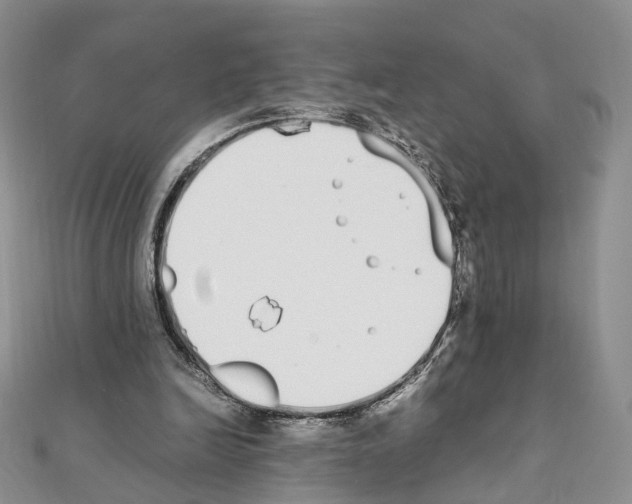 X0000111450246200908241212