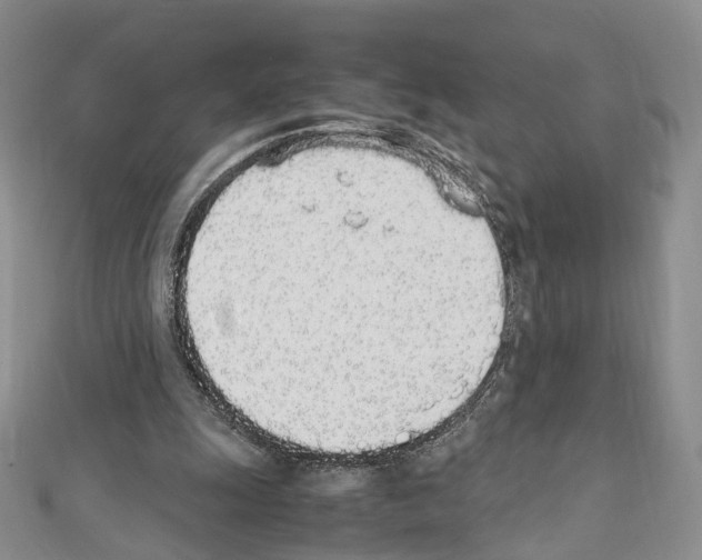 X0000111450247200908241212