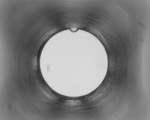 X0000111450251200908241212